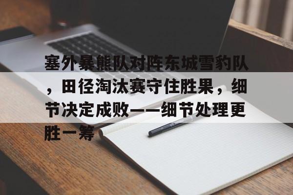开云体育官网-塞外暴熊队对阵东城雪豹队,田径淘汰赛守住胜果,细节决定成败——细节处理更胜一筹的简单介绍